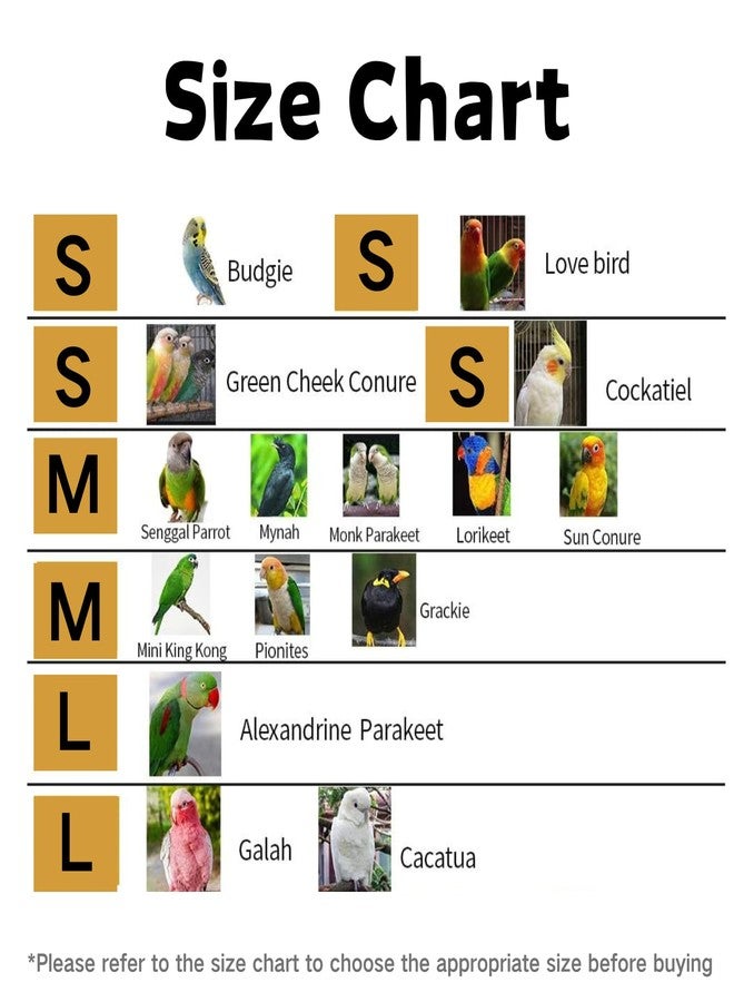 حزام ومقود للطيور - سترة تدريب طيران قابلة للتعديل للببغاء مع شريط عاكس وحبل تدريب من النايلون للطيور المتوسطة والكبيرة الحجم مثل الببغاء الكوكاتيل وببغاء الراهب وببغاء الشمس (متوسط) - Image 2